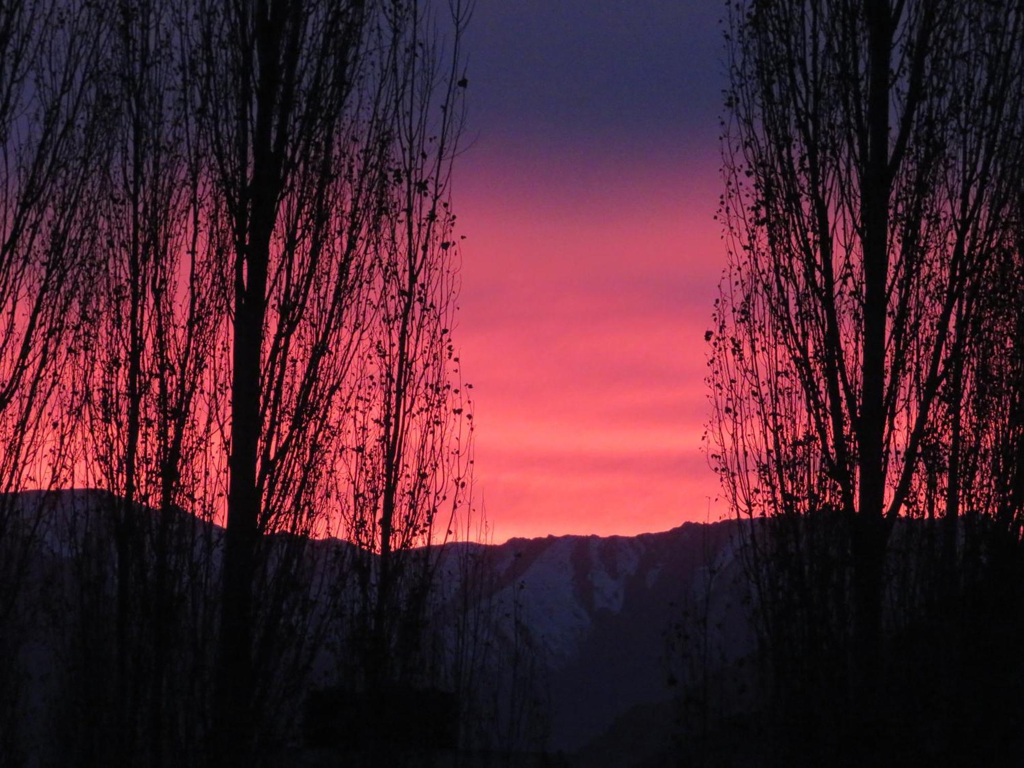 Hotel Palam Hills Leh Dış mekan fotoğraf
