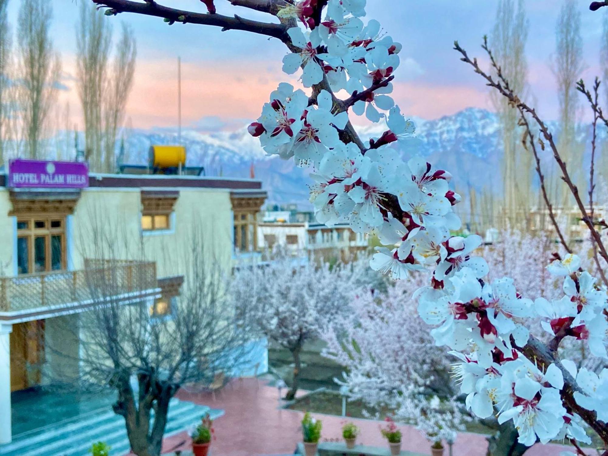 Hotel Palam Hills Leh Dış mekan fotoğraf