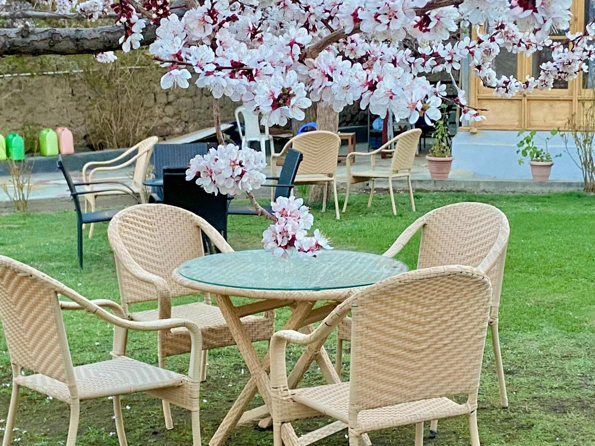 Hotel Palam Hills Leh Dış mekan fotoğraf