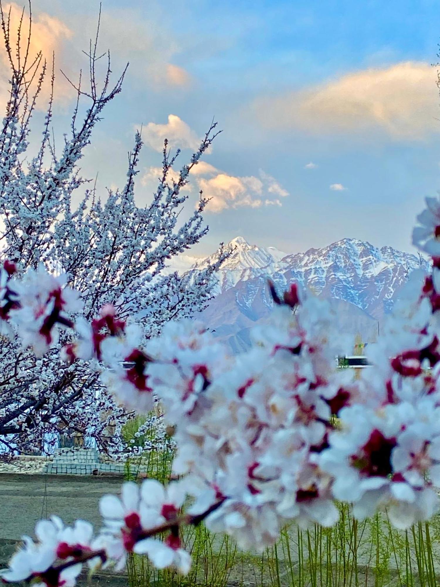 Hotel Palam Hills Leh Dış mekan fotoğraf