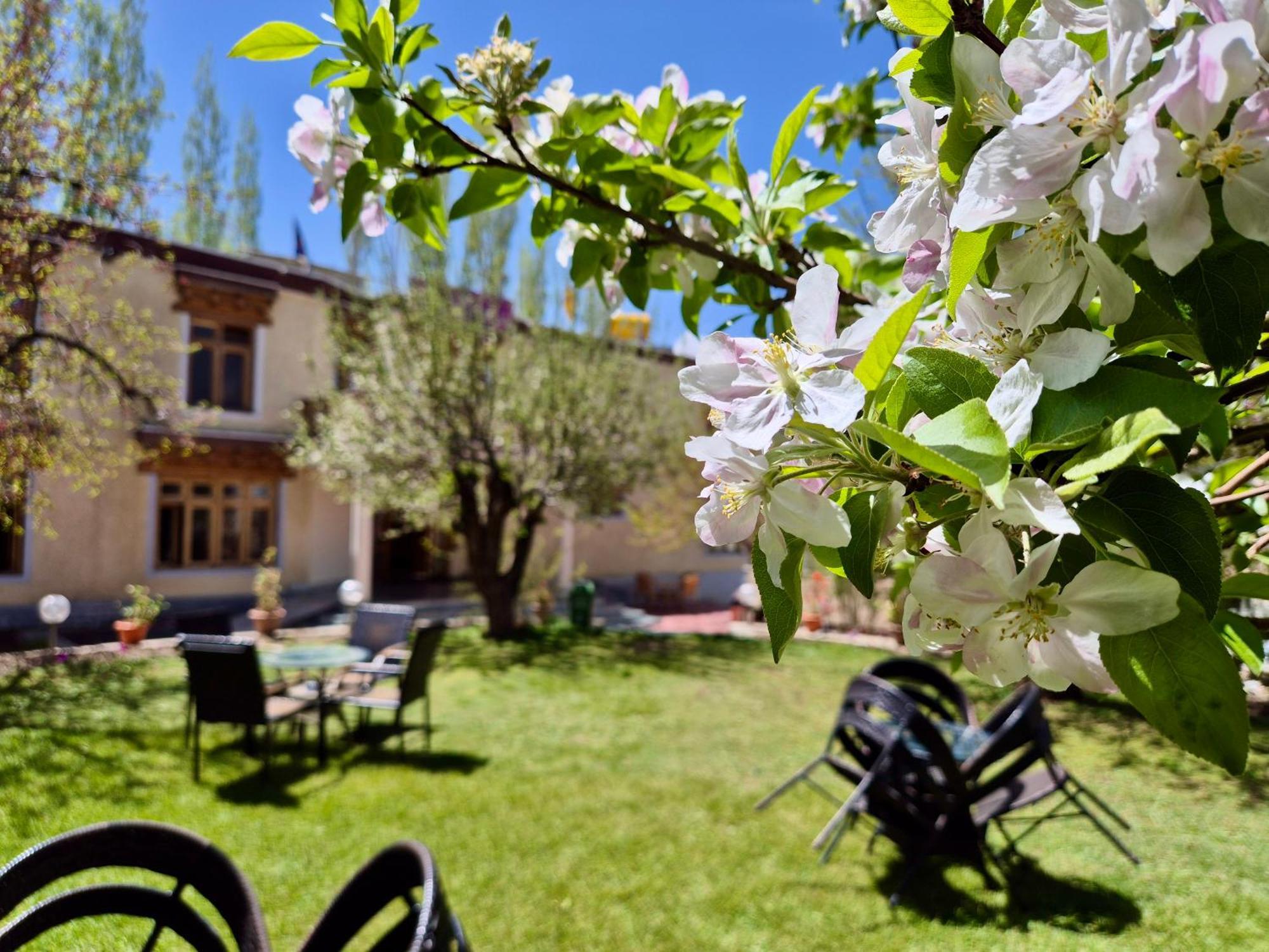 Hotel Palam Hills Leh Dış mekan fotoğraf